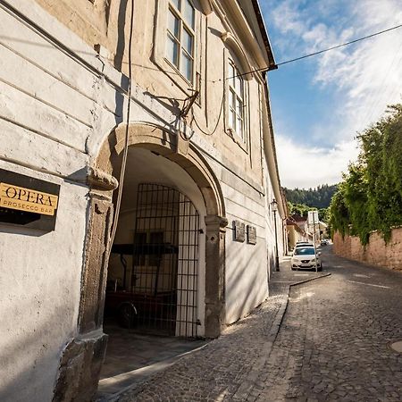Apartman Blue Moon Banská Štiavnica Екстериор снимка