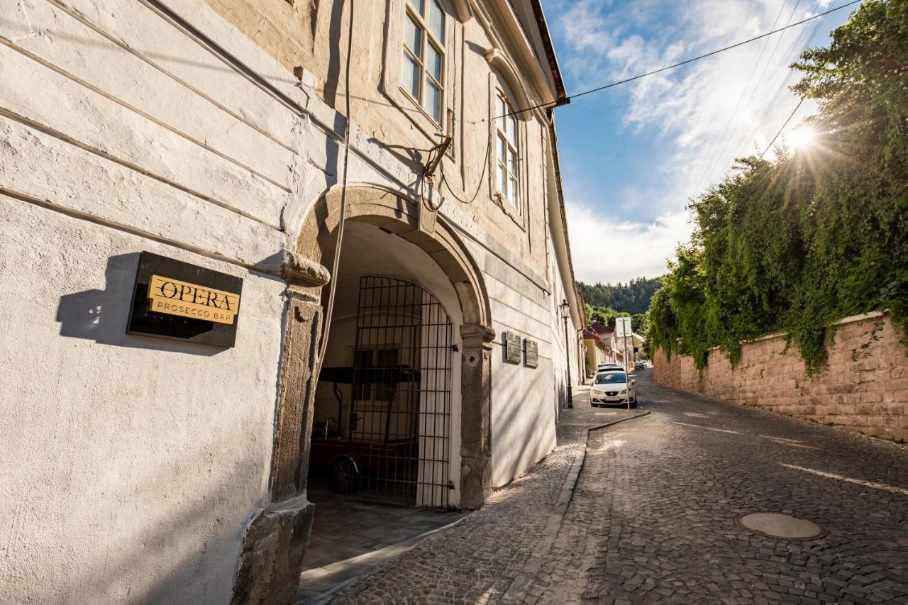 Apartman Blue Moon Banská Štiavnica Екстериор снимка